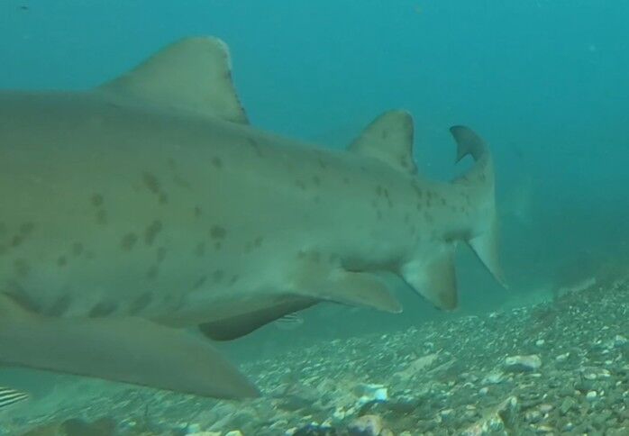 319b7026-8634-4443-889e-b721caa9c486