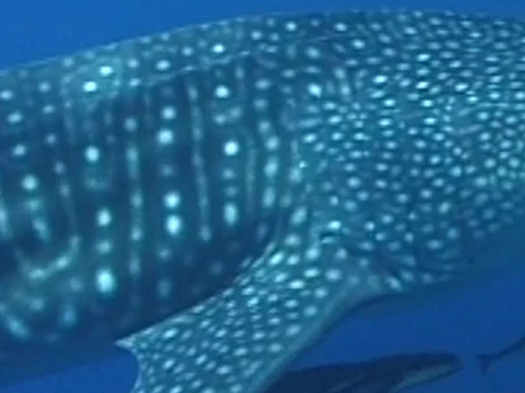 5332c435-546c-4b88-93d3-f53ea8dbe4e3