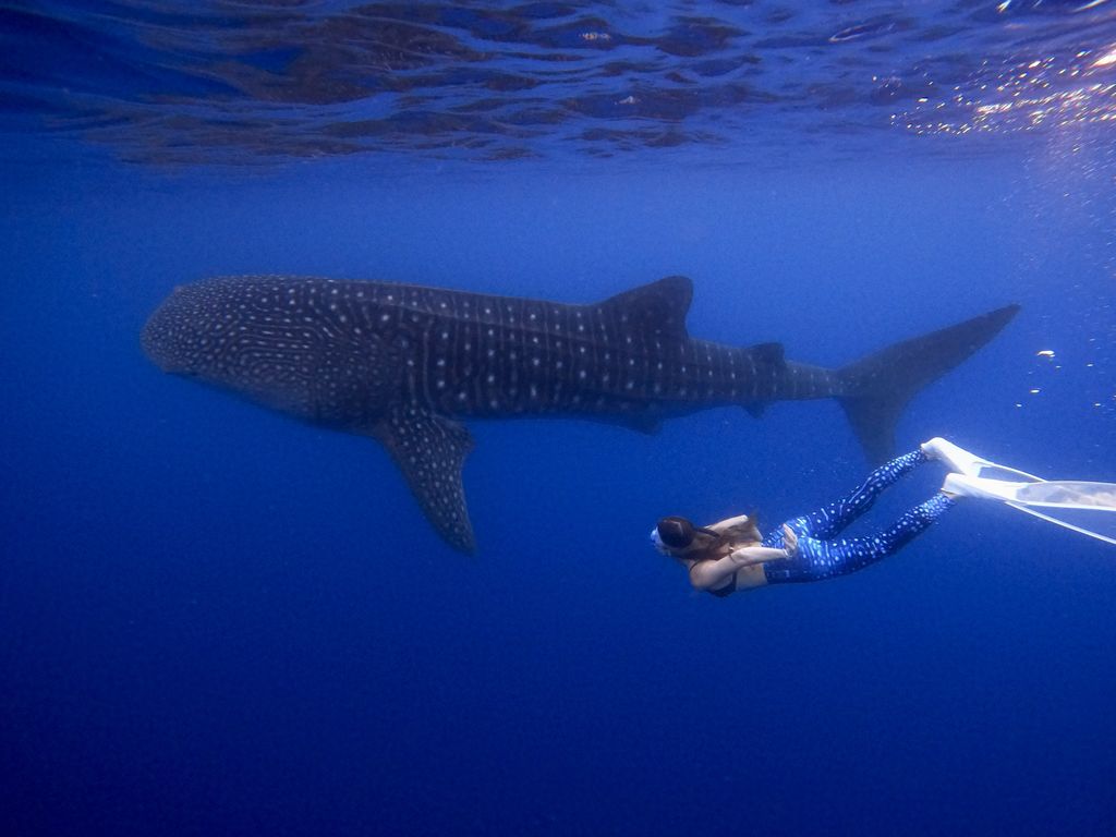 f2aef6b7-0329-43dd-80d0-aa9b50d5ca12