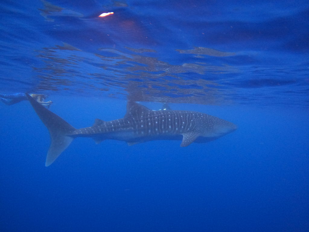 f2aef6b7-0329-43dd-80d0-aa9b50d5ca12