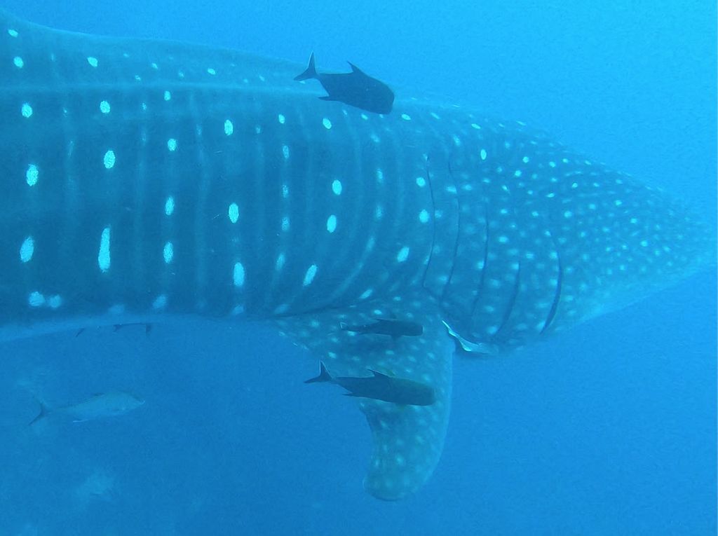 c57540a7-f01d-47ed-9496-cc189bc09d3e