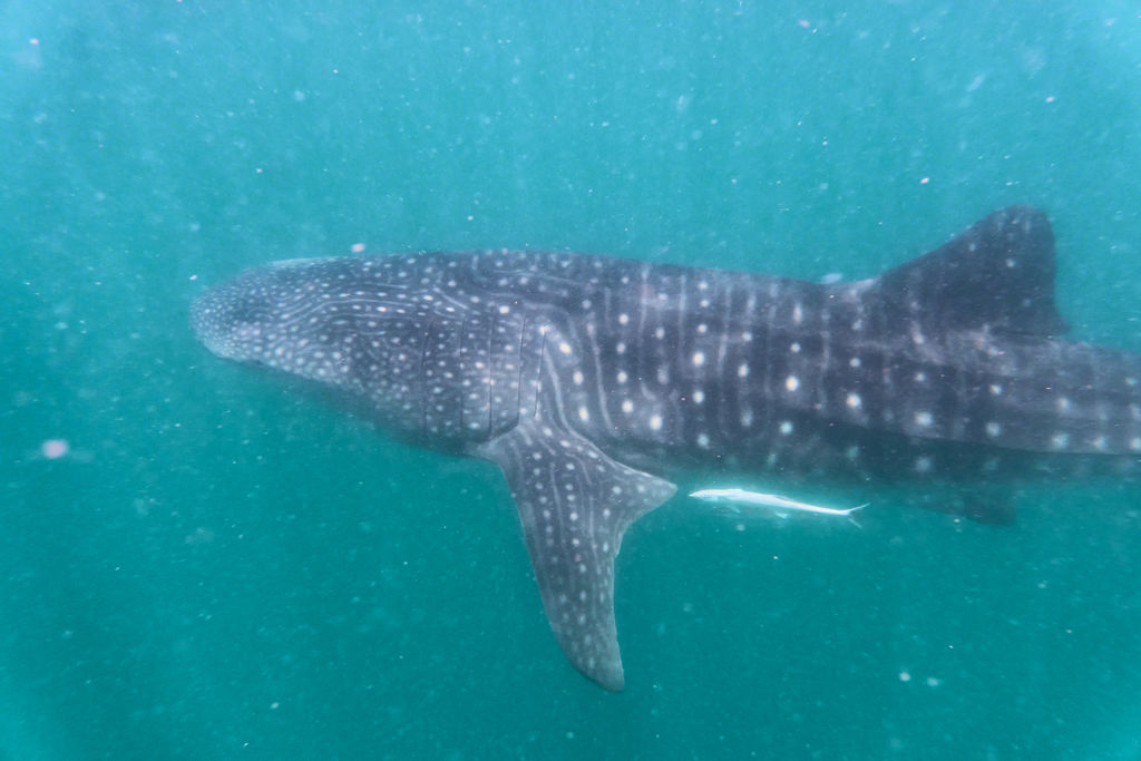 c50d8821-0db8-4699-8527-a8fba9348cd4