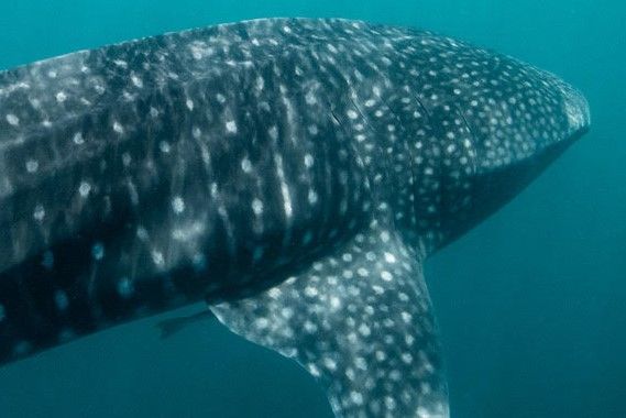 44aafe73-8894-4e00-b328-c39902eea5bc