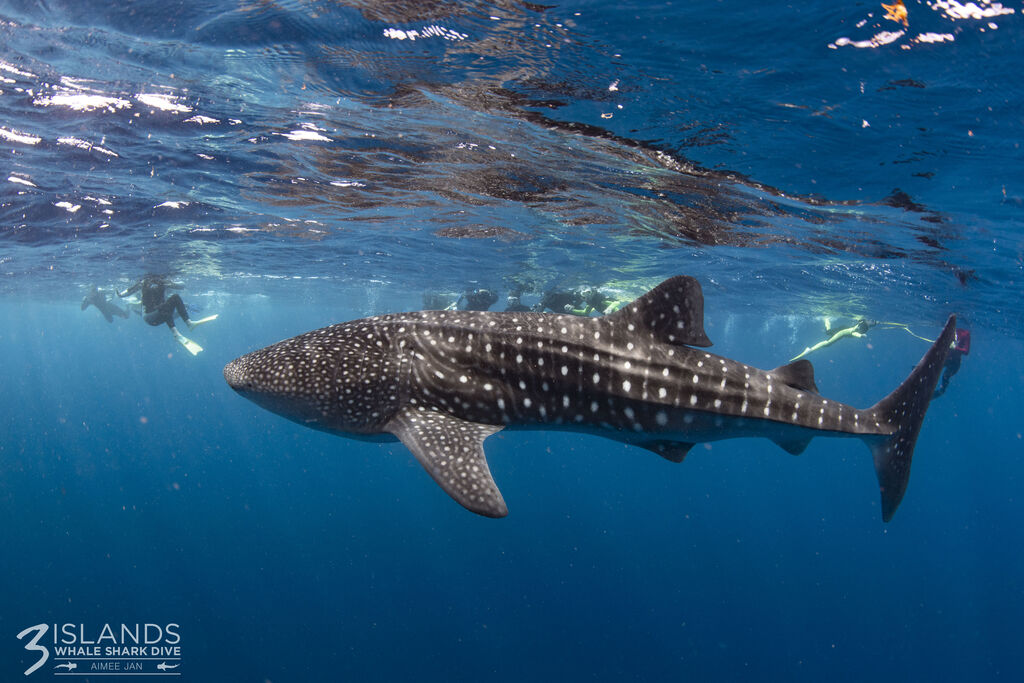 fdc14074-0075-4b91-a10a-1f6a61a685dc