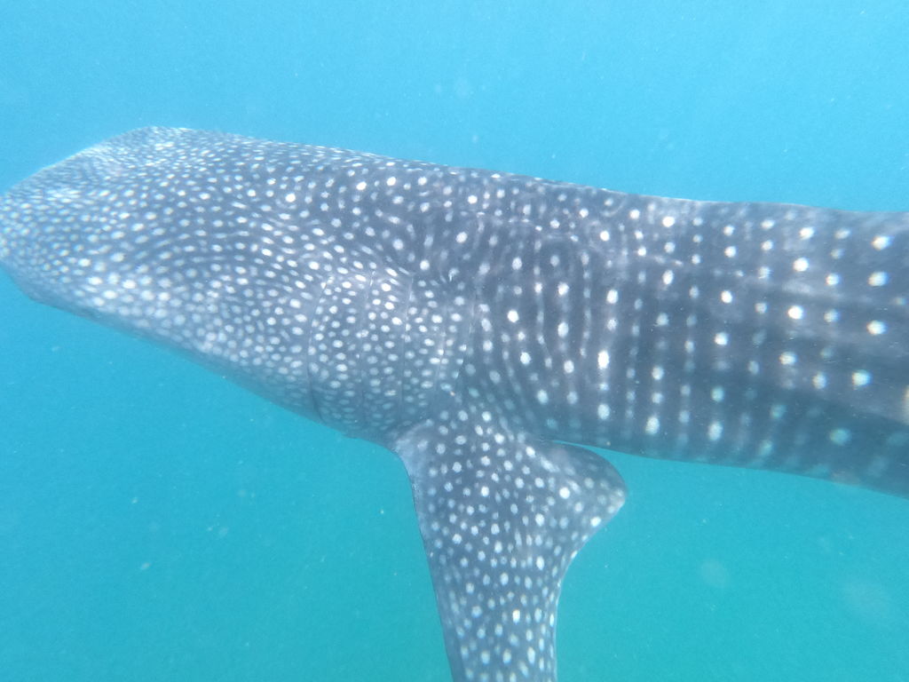 7b7ac326-f1fb-4ef4-875a-7a94248bf6e9