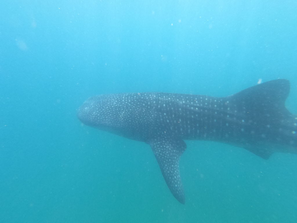 7b7ac326-f1fb-4ef4-875a-7a94248bf6e9