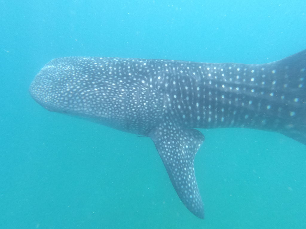 7b7ac326-f1fb-4ef4-875a-7a94248bf6e9