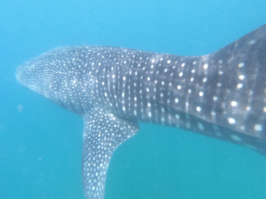 7b7ac326-f1fb-4ef4-875a-7a94248bf6e9