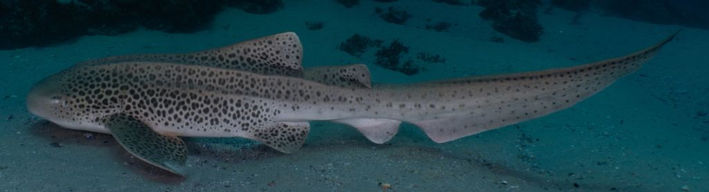 66f6fd12-ff47-421c-8e7b-0783771bec19