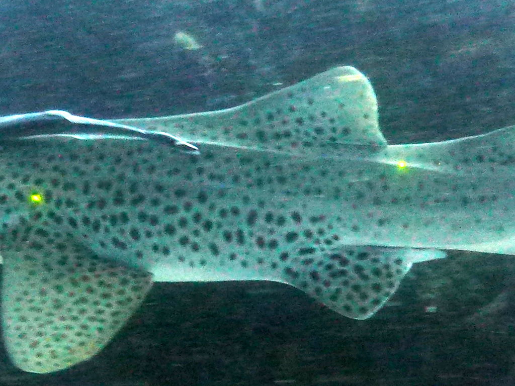 24ff3370-b1a0-4225-8efd-81e943ed4450