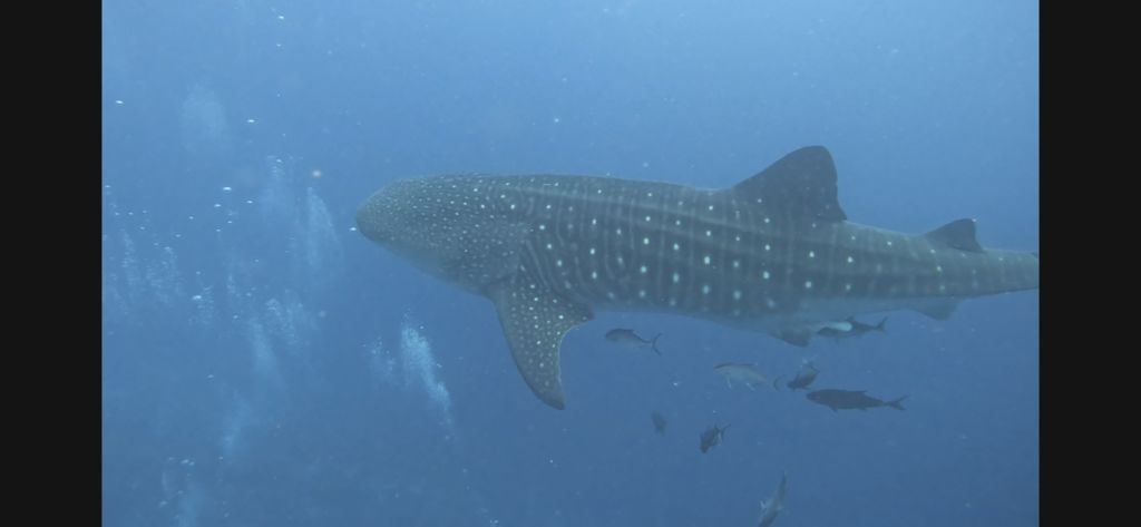 f8cb844f-6307-470d-8550-cba0a7ea93c3