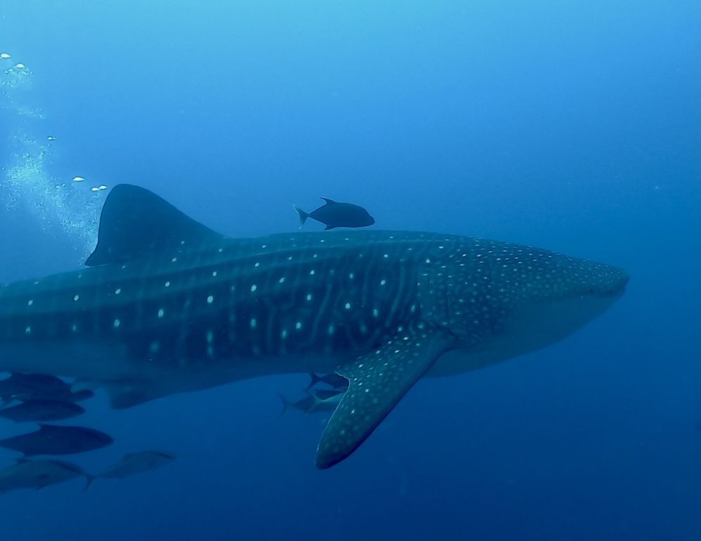 f8cb844f-6307-470d-8550-cba0a7ea93c3