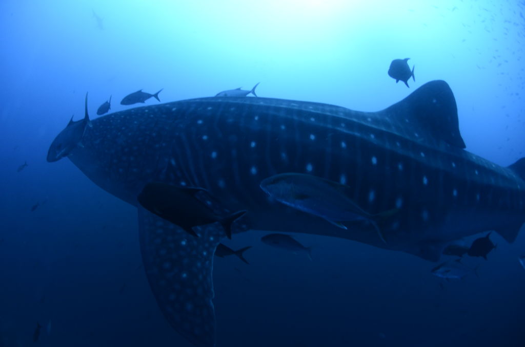 f8cb844f-6307-470d-8550-cba0a7ea93c3