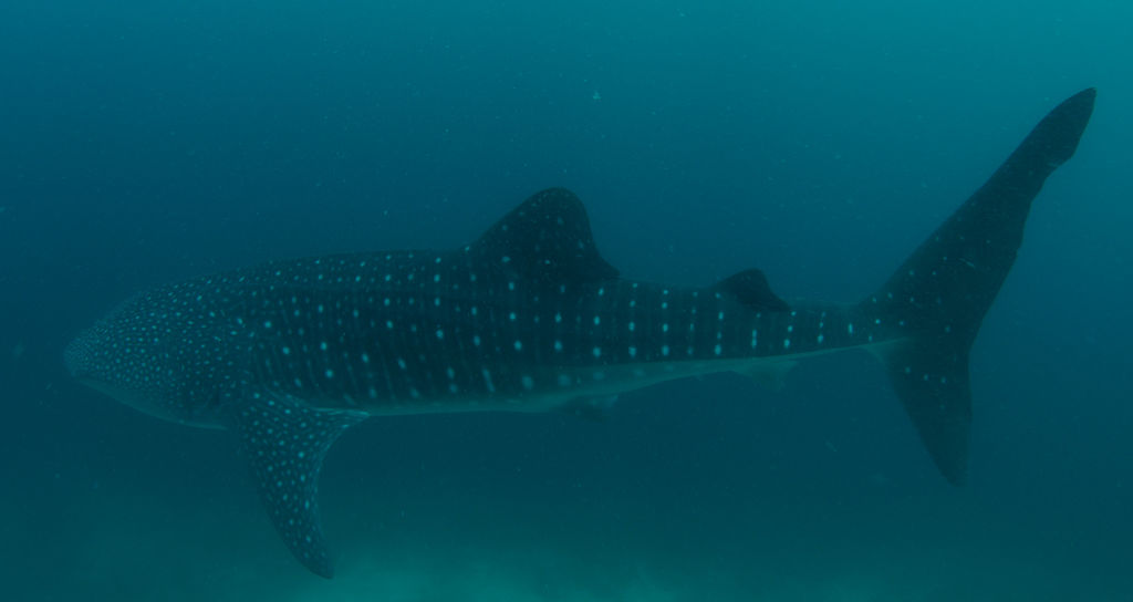 69cee6d0-178a-4a8f-95b4-17cf348ad937