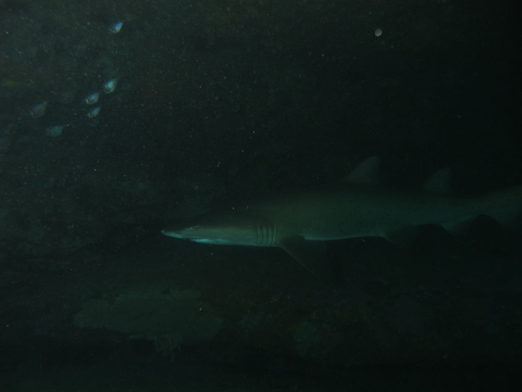 d67f5e40-e8f7-40b7-a9e7-7e97d00dab6d