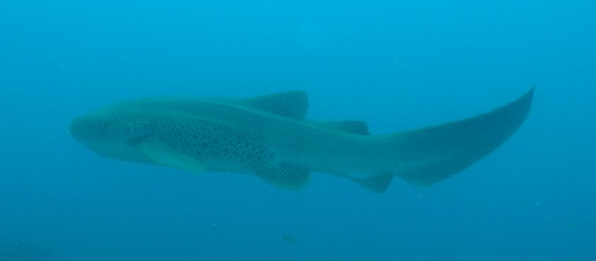 63866a4c-d3a7-4637-9b27-27d2b27f82d3