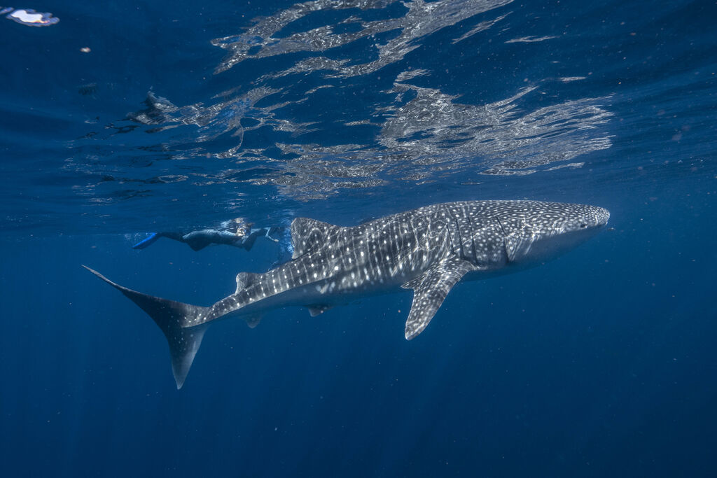 dcc988a3-8786-4d3f-8ca6-ed1a2e202a2c