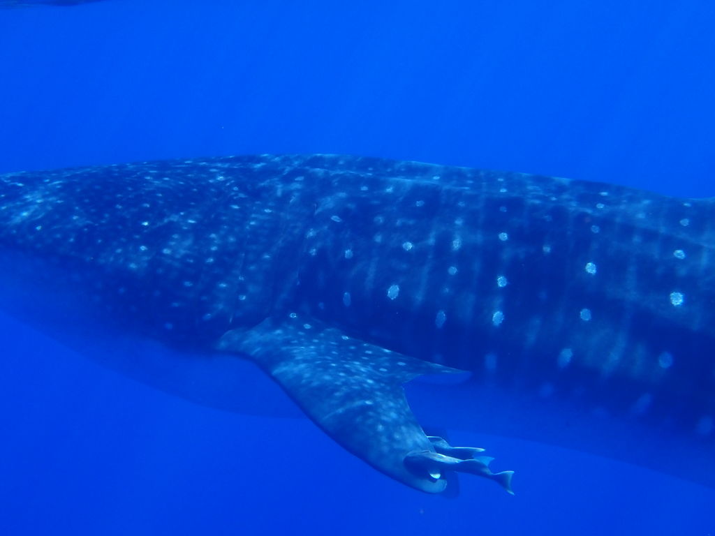 fd2ed153-d7a0-4f07-992f-e80e7d0fabd5