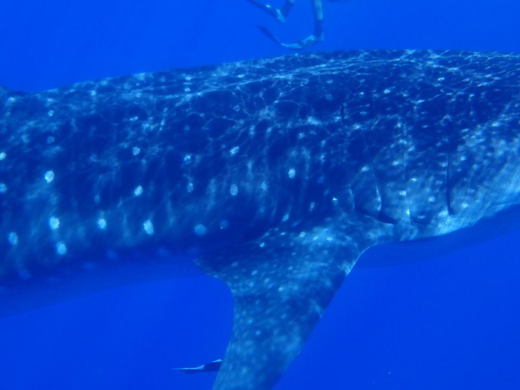 fd2ed153-d7a0-4f07-992f-e80e7d0fabd5