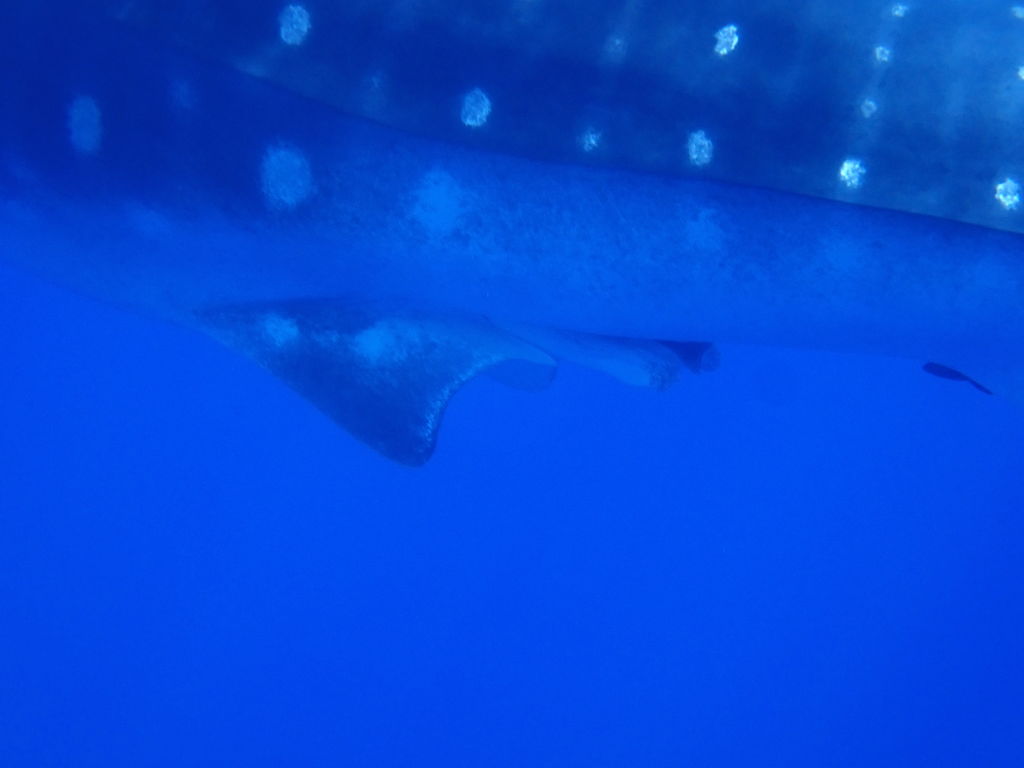 fd2ed153-d7a0-4f07-992f-e80e7d0fabd5