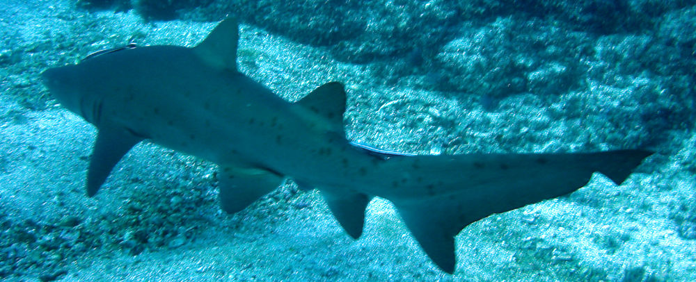 3b6f6f2b-d8ed-4c5c-8d6b-fefdecb9a975