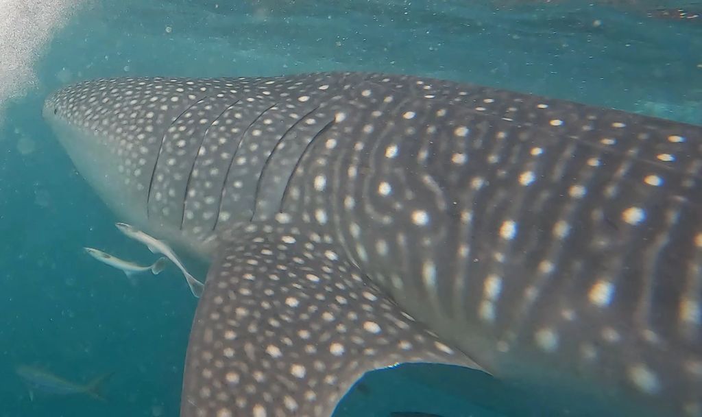 6a3d58f9-b30b-4997-a0be-0e6fce80ac64