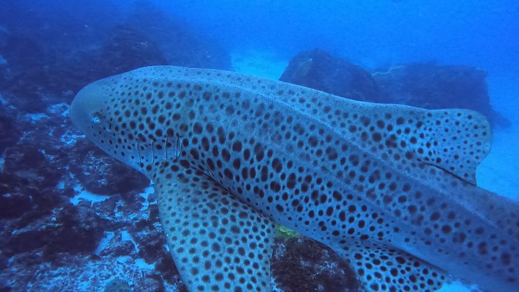 624da8cc-cffc-4a0d-b08a-4edbad309354