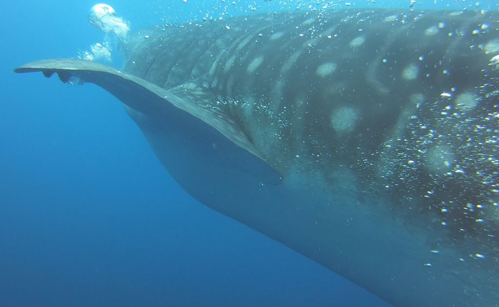 98b3194d-f238-44c5-aecf-fbdfc4724fd5