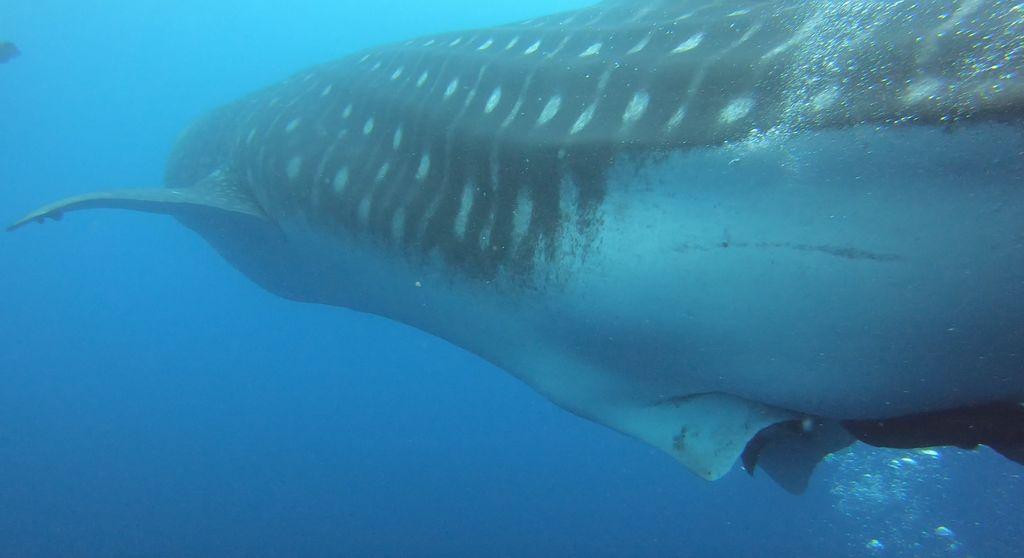 98b3194d-f238-44c5-aecf-fbdfc4724fd5