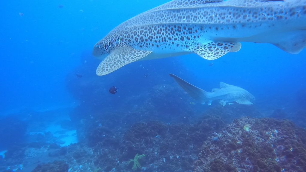 1a638bb8-9d84-4b23-aa00-cfd43d412e3b