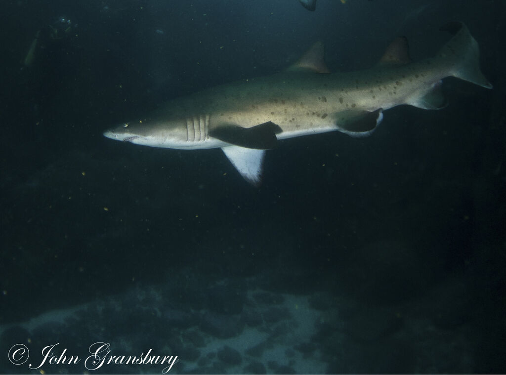 2445a43d-b76c-481a-a3c3-72ef31bfe73d