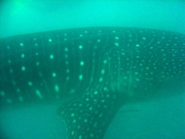 8f7d8453-ed18-4573-91cc-838e79dae1fb