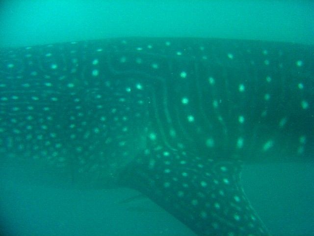 8f7d8453-ed18-4573-91cc-838e79dae1fb