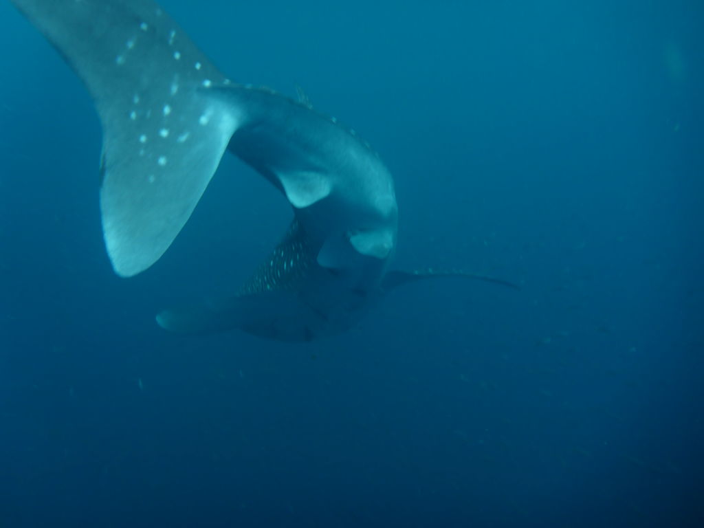 b9c3287f-492e-4c57-bea7-f55b41226f9b