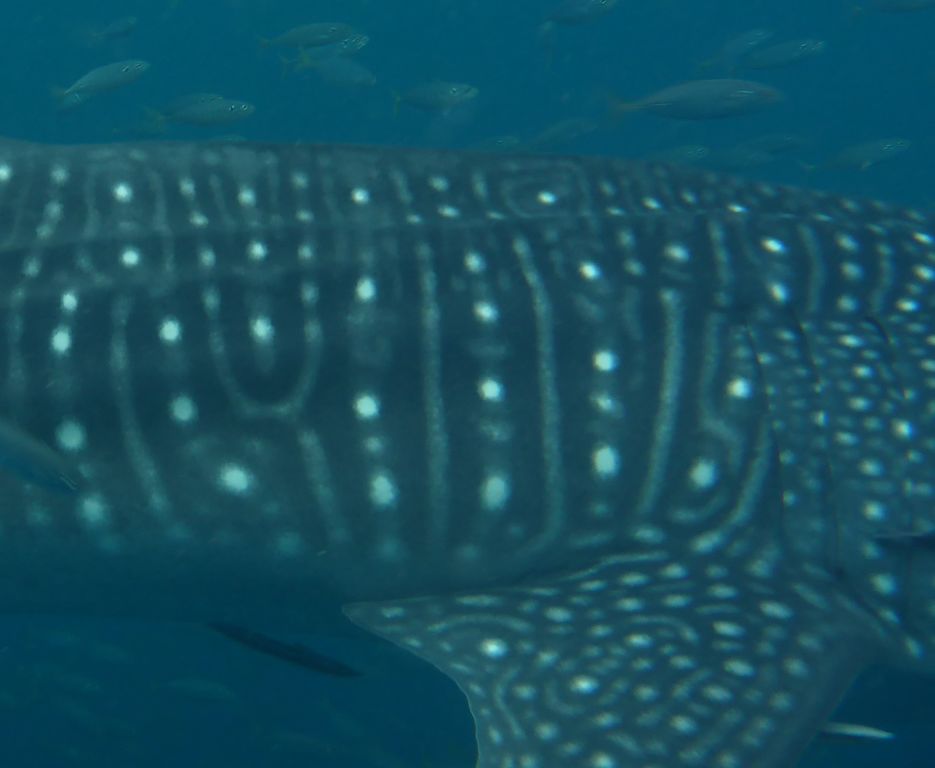 b9c3287f-492e-4c57-bea7-f55b41226f9b