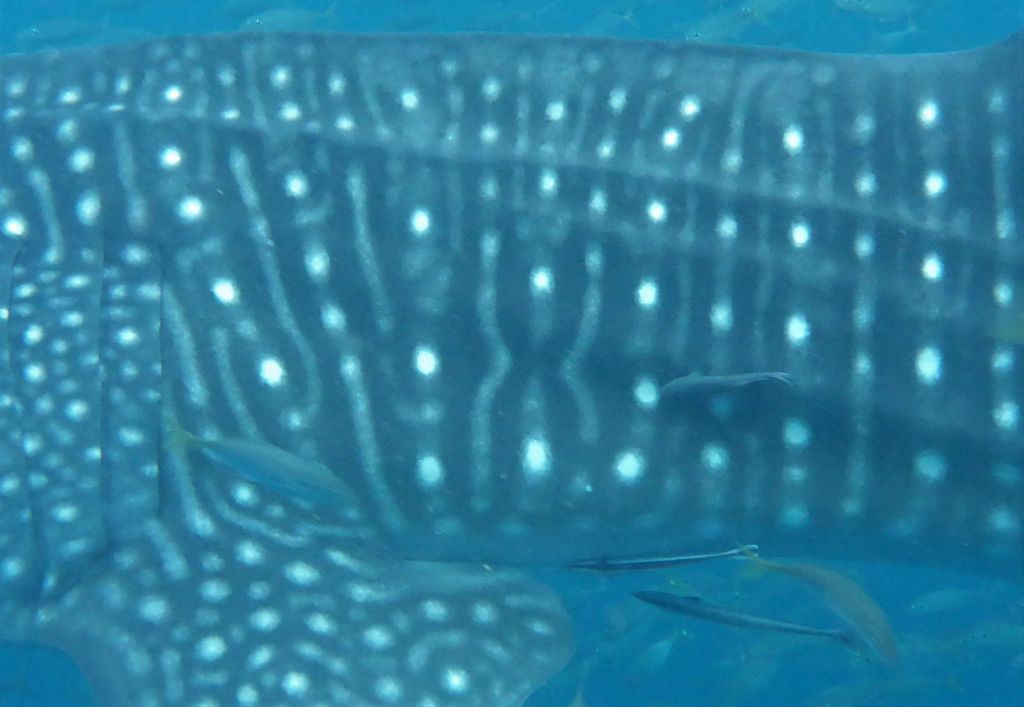 b9c3287f-492e-4c57-bea7-f55b41226f9b