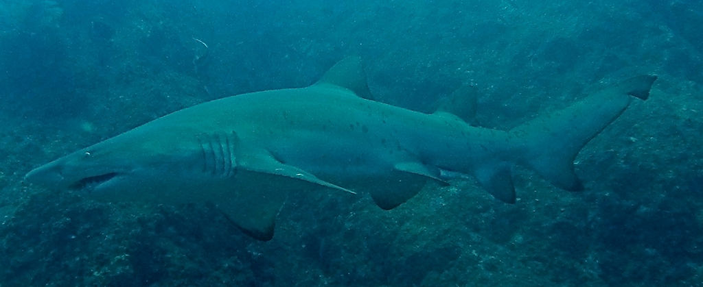 e7cb133c-e10a-4890-9c67-193a103bd188