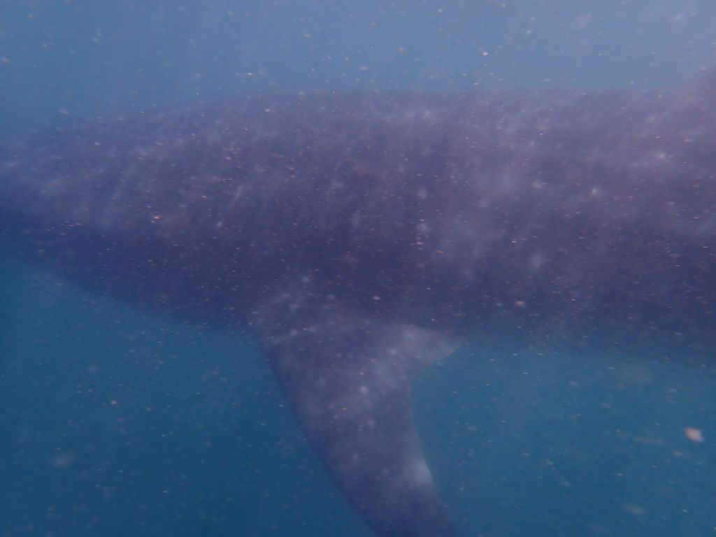 800405f5-f3e4-4f0c-97c1-e26841d7cf1e