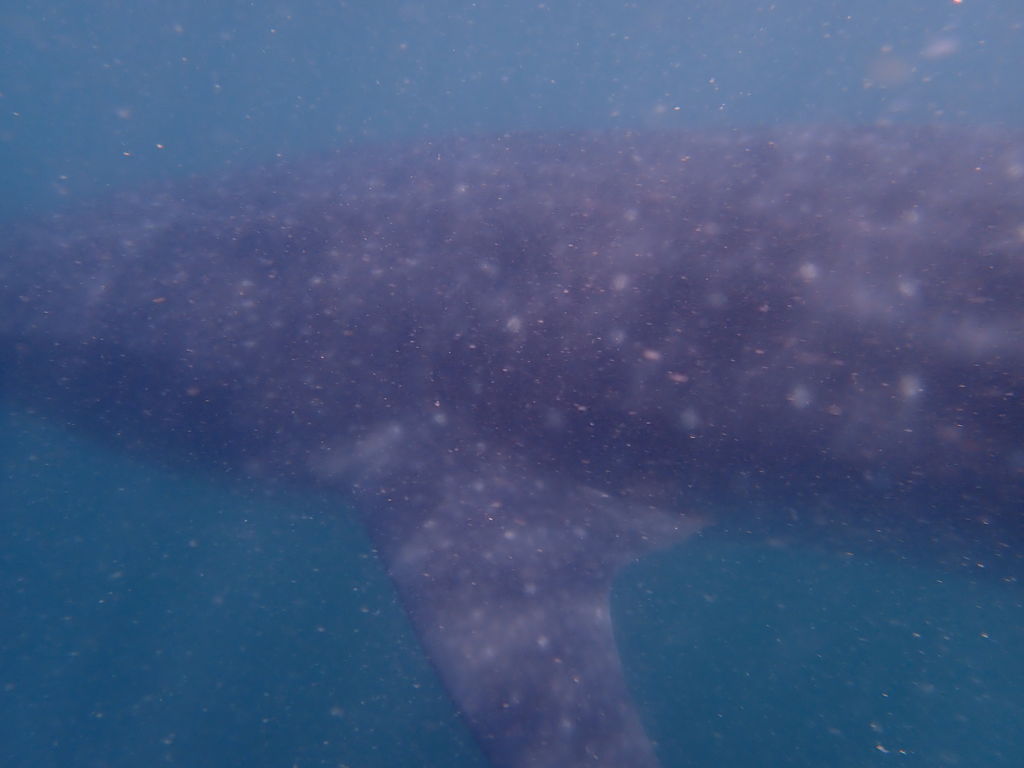 800405f5-f3e4-4f0c-97c1-e26841d7cf1e