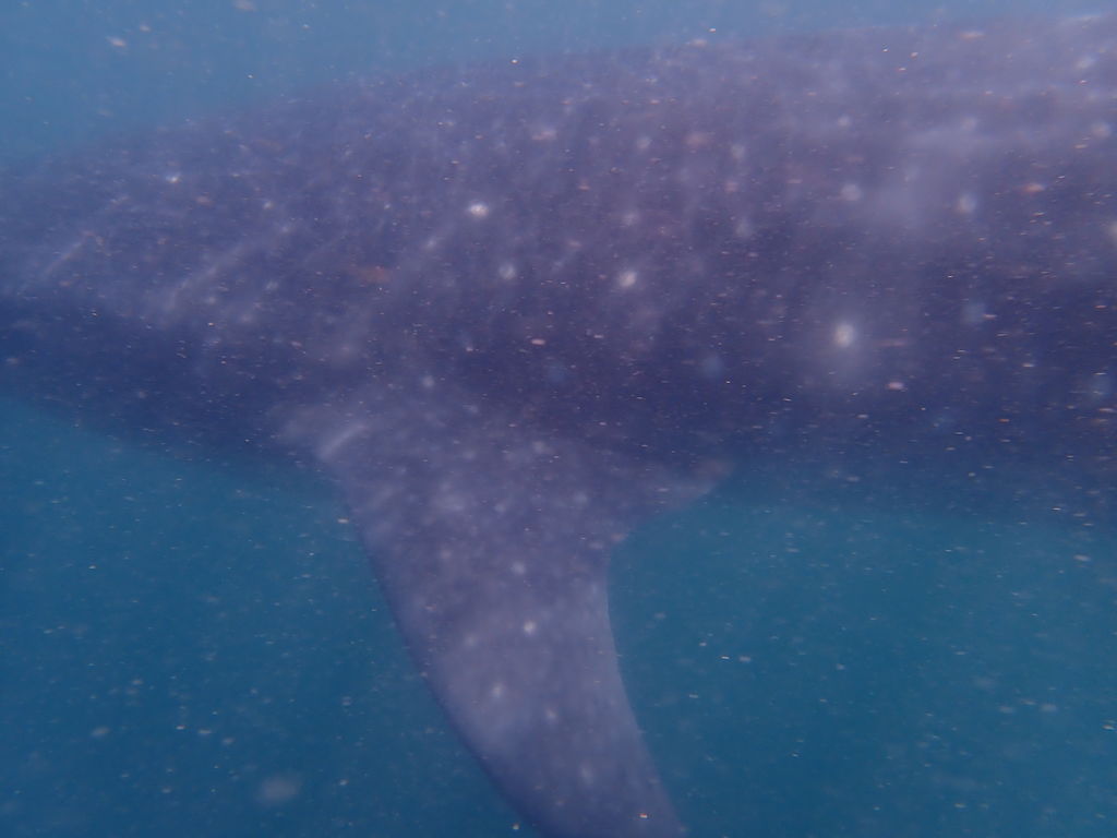 800405f5-f3e4-4f0c-97c1-e26841d7cf1e