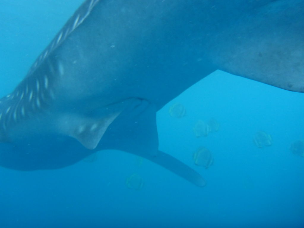 b47ad88d-076f-4e91-9693-5a167cd3aaf7