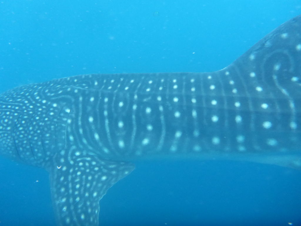 b47ad88d-076f-4e91-9693-5a167cd3aaf7