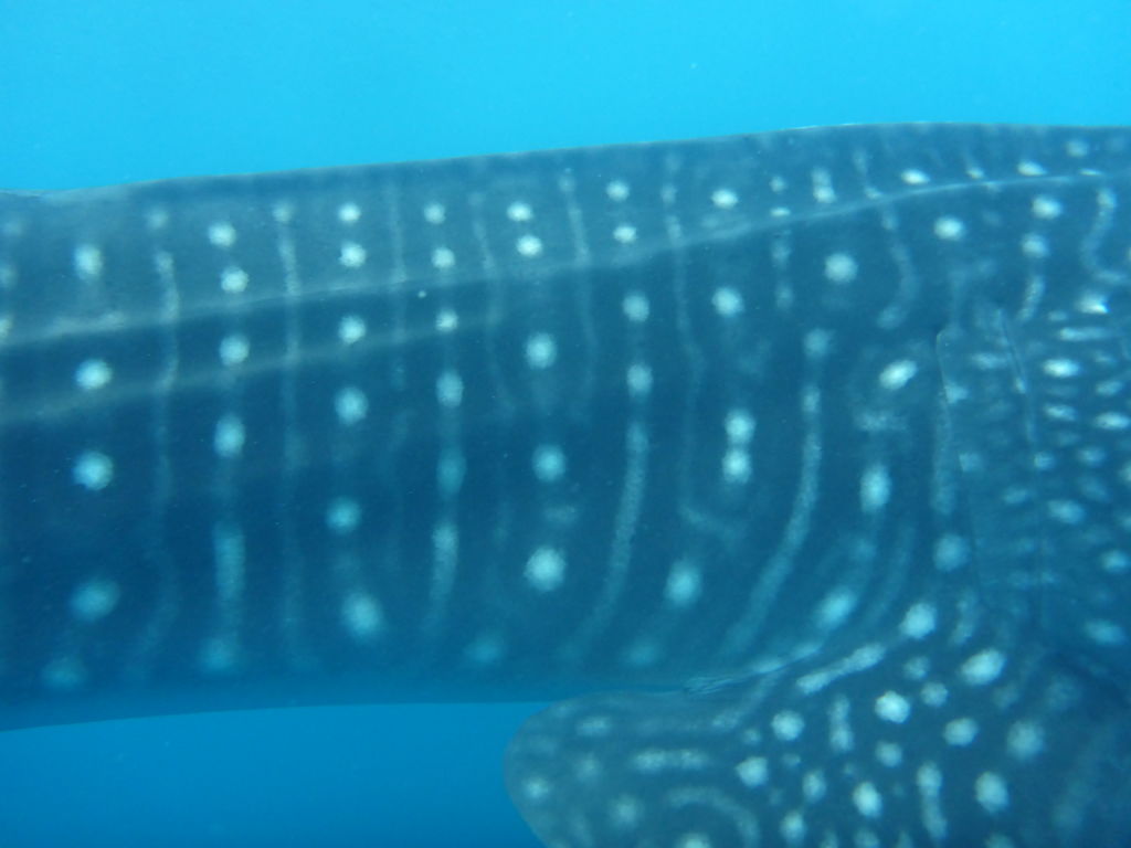 b47ad88d-076f-4e91-9693-5a167cd3aaf7