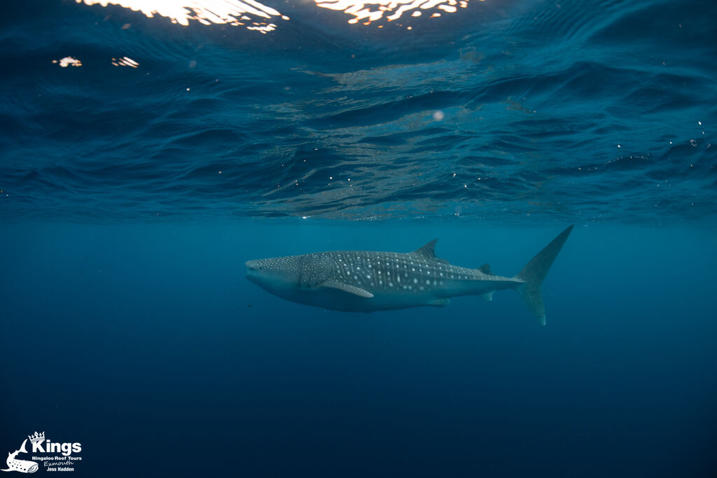 3d53132d-00e1-41da-ac9e-1096da0b87ed