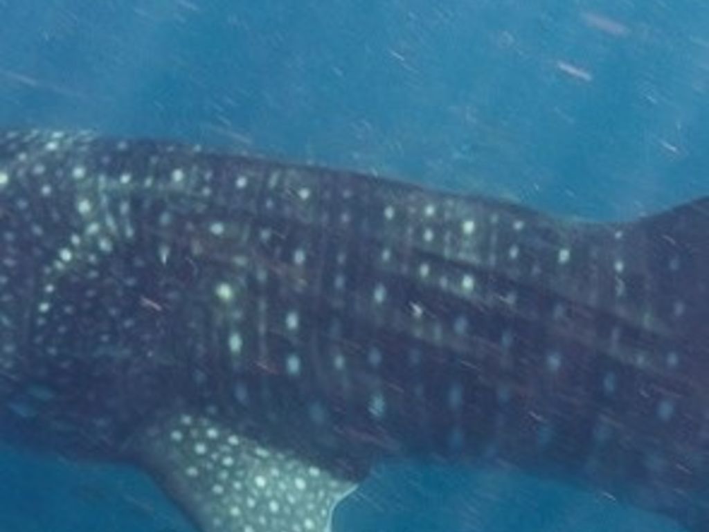 d2b48bdf-0358-43aa-88f9-0116b309cd23