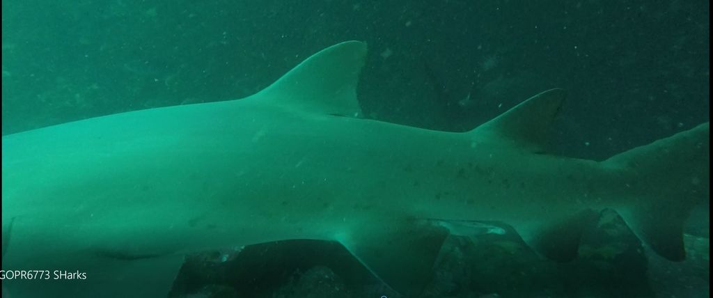 bcc02846-7b3b-47b2-af5a-cdf44d1ccefb