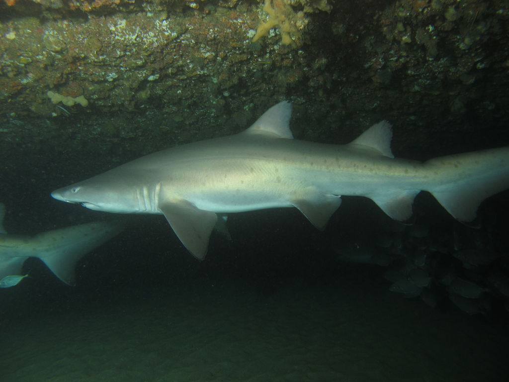 7f962089-7467-4050-a52b-7b7746019e82