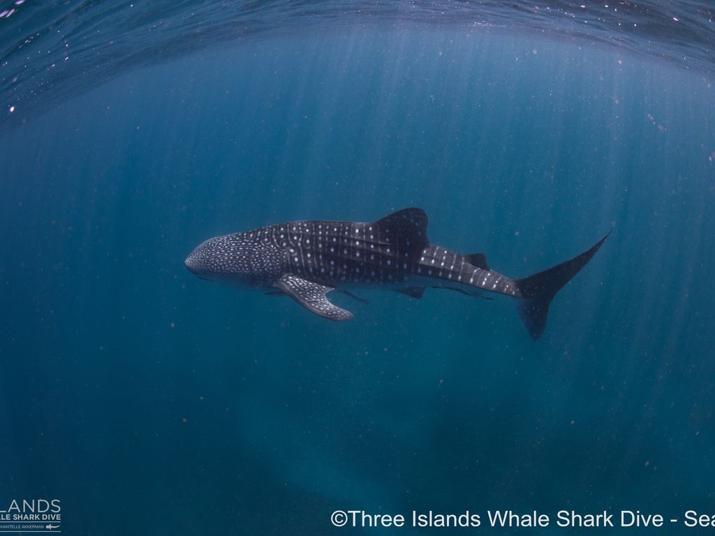 bf3a62dc-a892-414e-9870-affffd4b4d8a