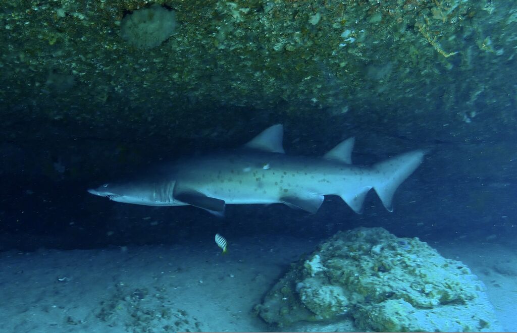 f7f6e6b3-02e2-4701-a66b-27e1d4629868