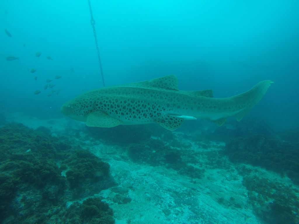 631bb9ca-fb56-458c-aba3-a0fedc1919dc